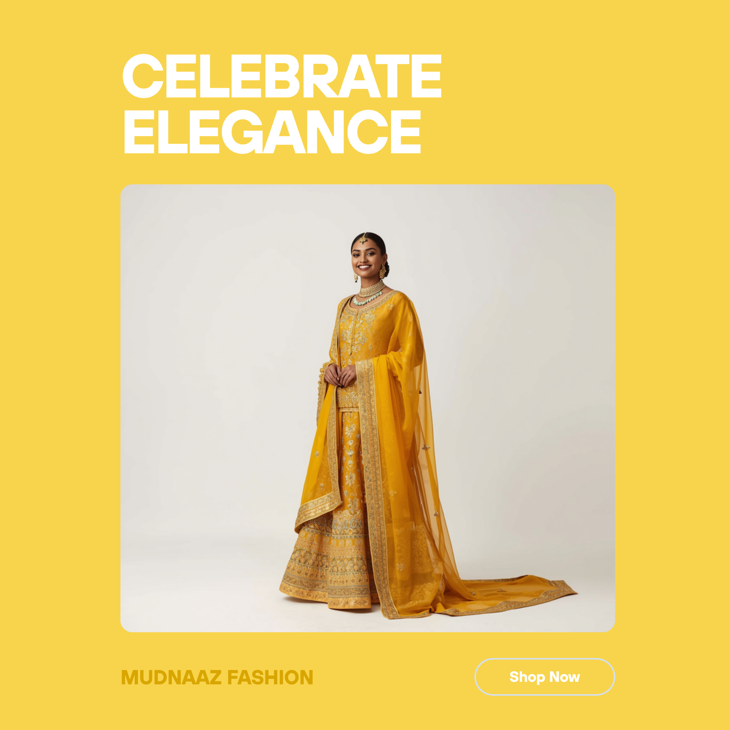 Haldi Collection
